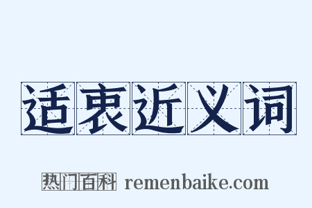 适衷近义词是什么意思的图片